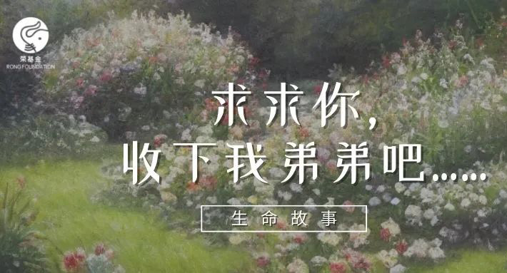 生命故事 | 求求你，收下我弟弟吧……