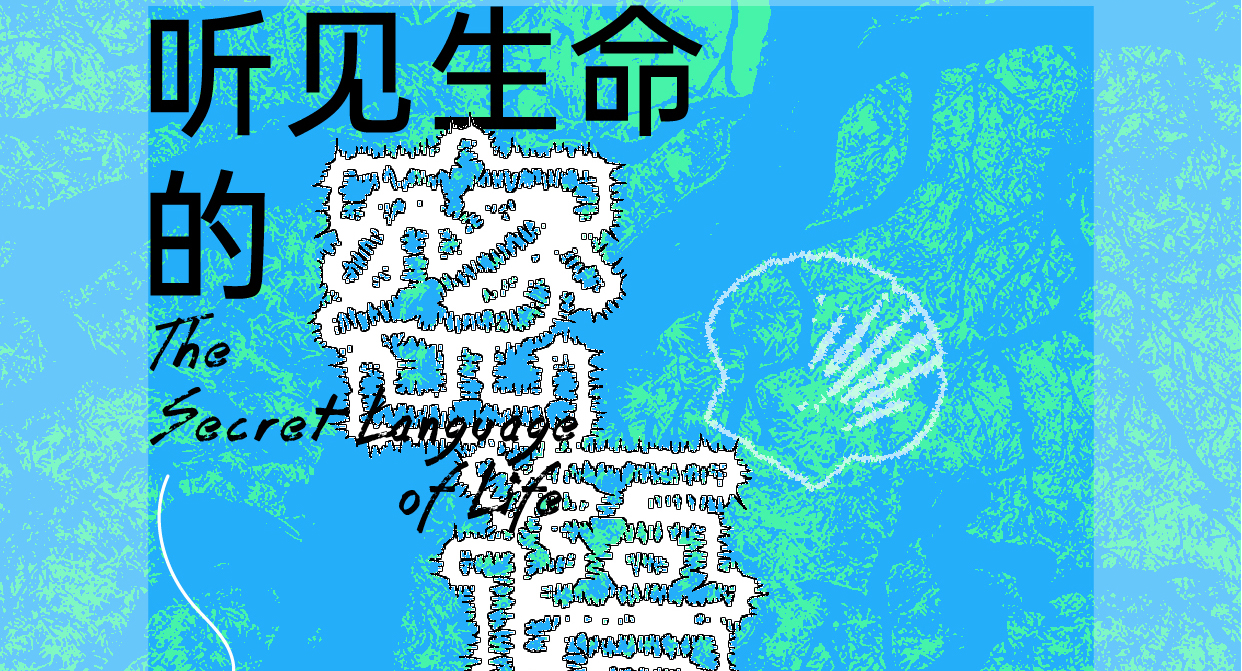 【听见生命的密语】手工工作坊